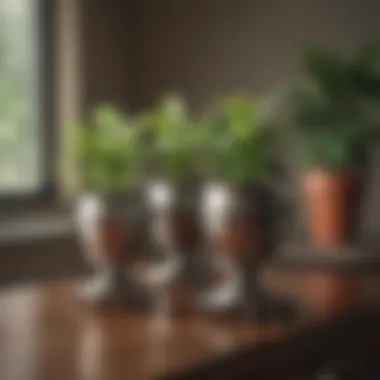 Elegant Caster Designs for Plant Caddies Elegant caster options showcasing sleek designs for plant caddies.