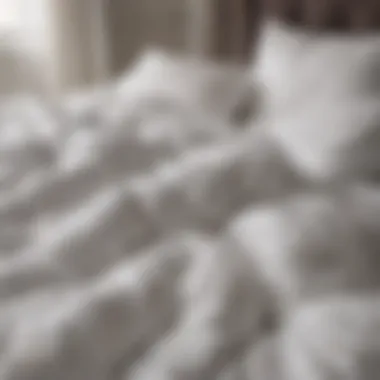 Diverse duvet types arranged aesthetically