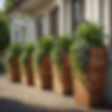 Creative vertical arrangement of shallow planter boxes