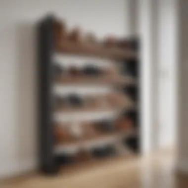 Stylish shoe rack integrated into hallway decor